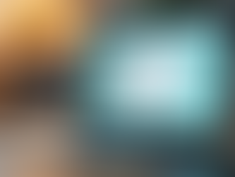 Prioritizing Data Privacy Safety in Online Shopping