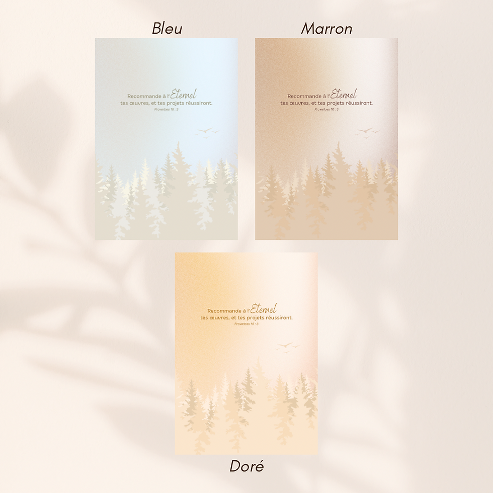 Miniature : Affiche chrétienne grand format