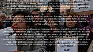Bağımsız ADT/K'lar: "Konya ve Mamak'ta Katliam Var!"
