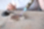 4773C835-EE9E-464C-9FE1-39A52CDD40EE-1535-00000038D28D1E50.jpeg