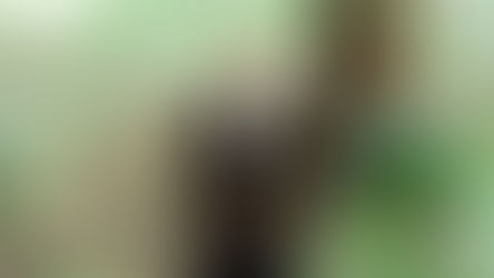 いのちを呼びさますビエンナーレ —全体性を取り戻す“場” みちのおくの芸術祭が開幕