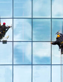 Expert Window Cleaning Providers: Enhancing Your Home's Appeal