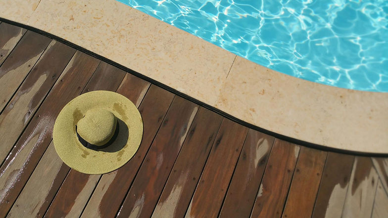 summer background.jpg