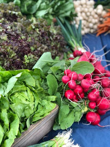 5 Things To Do This Week 8 15 8 21