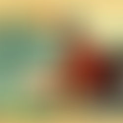 ✈️ Trip to🌴Portugal