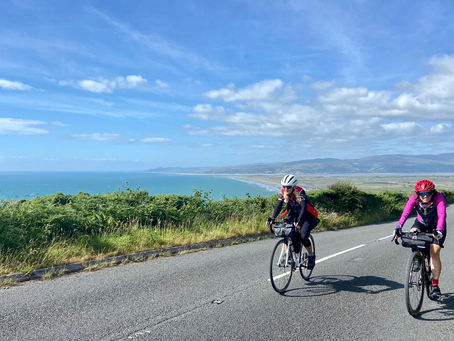 Bridges, trolls & the Borth ‘beast’
