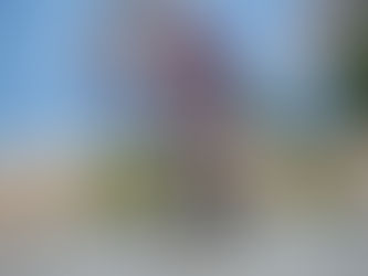 Mallorca - the cyclists island