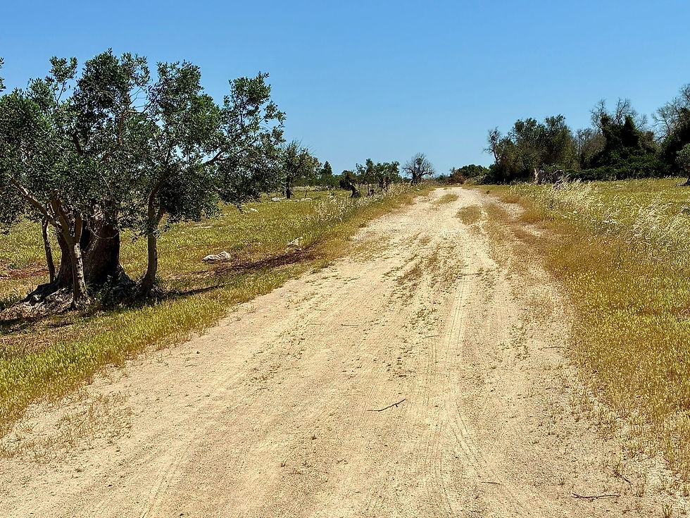 roads to Gallipolli
