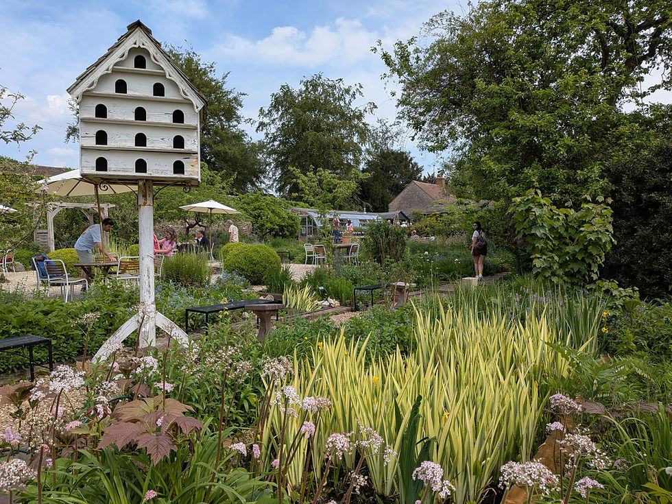 Mells walled garden