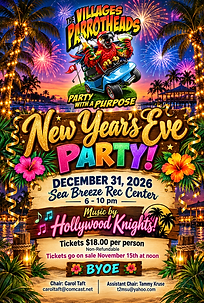 2026 Dec 31 New Years Eve Liaa.PNG