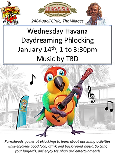 Jan 14 Phlocking TBD.png