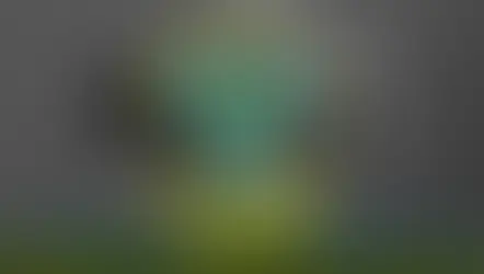 Красавіцкі харал, ці тры прывіды Чарнобыля