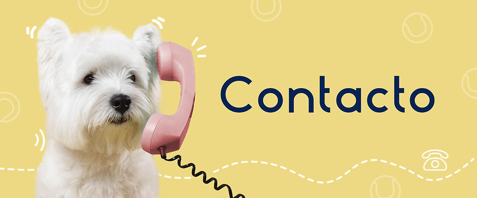 CONTACTO 1440x600.jpg