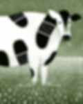 Humane Animal Care