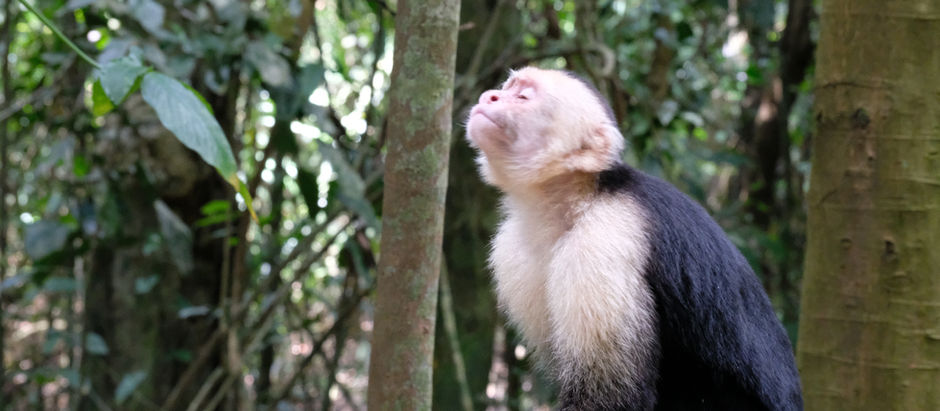 Costa Rica in 8 Days