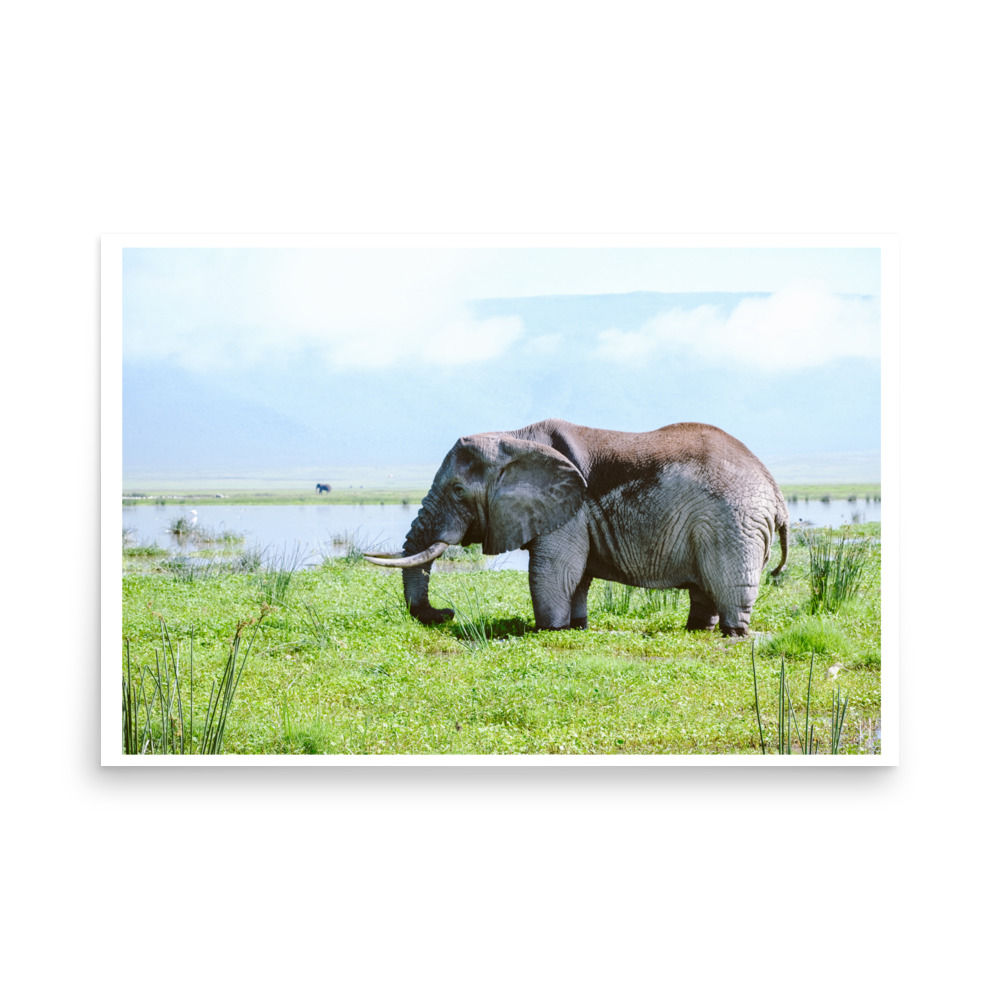 Power in the Marsh - Museum - Quality Poster