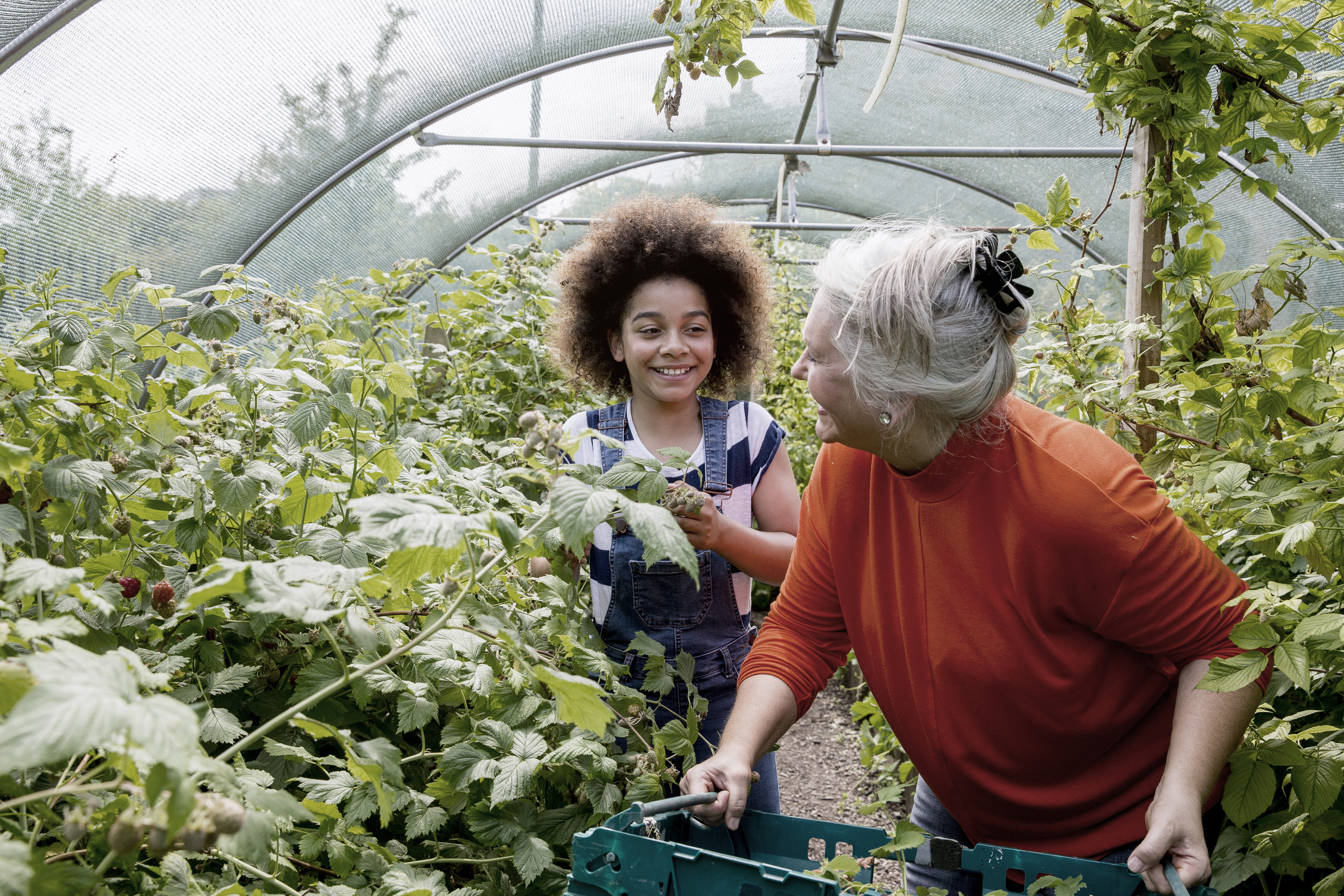 Child Planting in Greenhouse