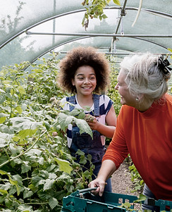 Child Planting in Greenhouse