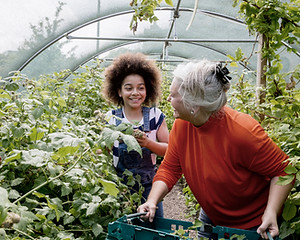Child Planting in Greenhouse