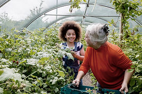 Child Planting in Greenhouse