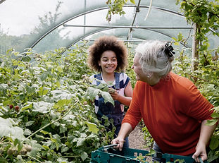 Child Planting in Greenhouse