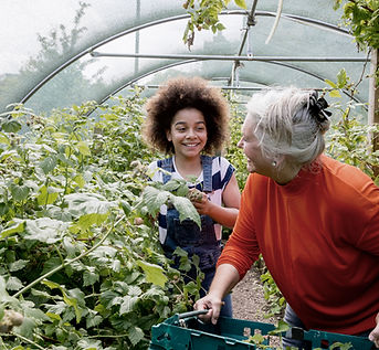 Child Planting in Greenhouse