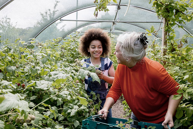Child Planting in Greenhouse