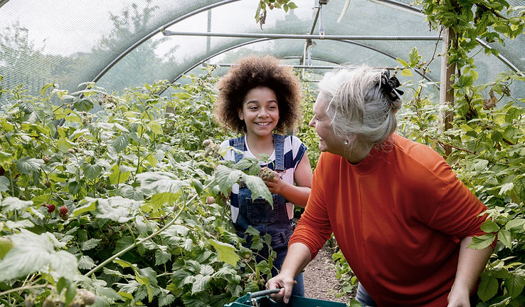 Child Planting in Greenhouse