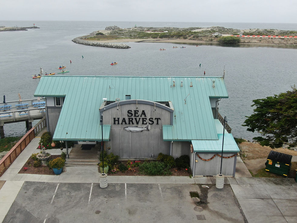 FOC Friday Luncheon September 11th | Moss Landing, CA.