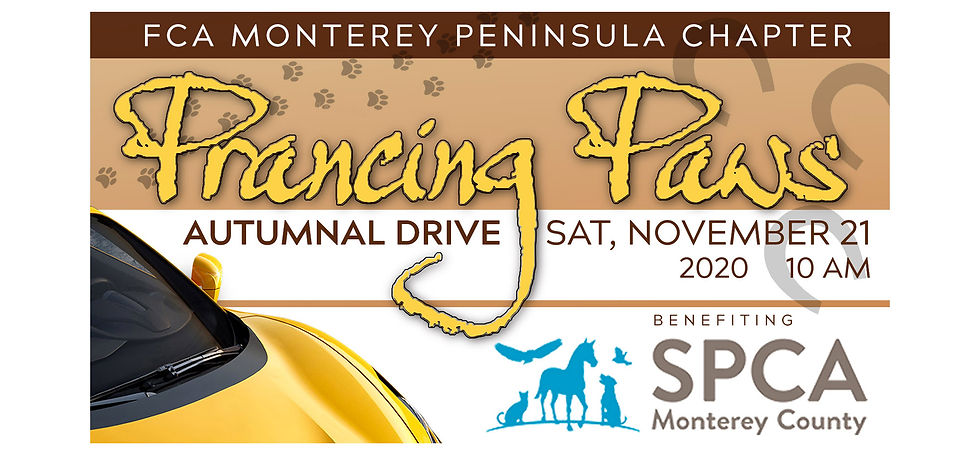 FCA MPC & PBSCC Prancing Paws Autumnal Drive