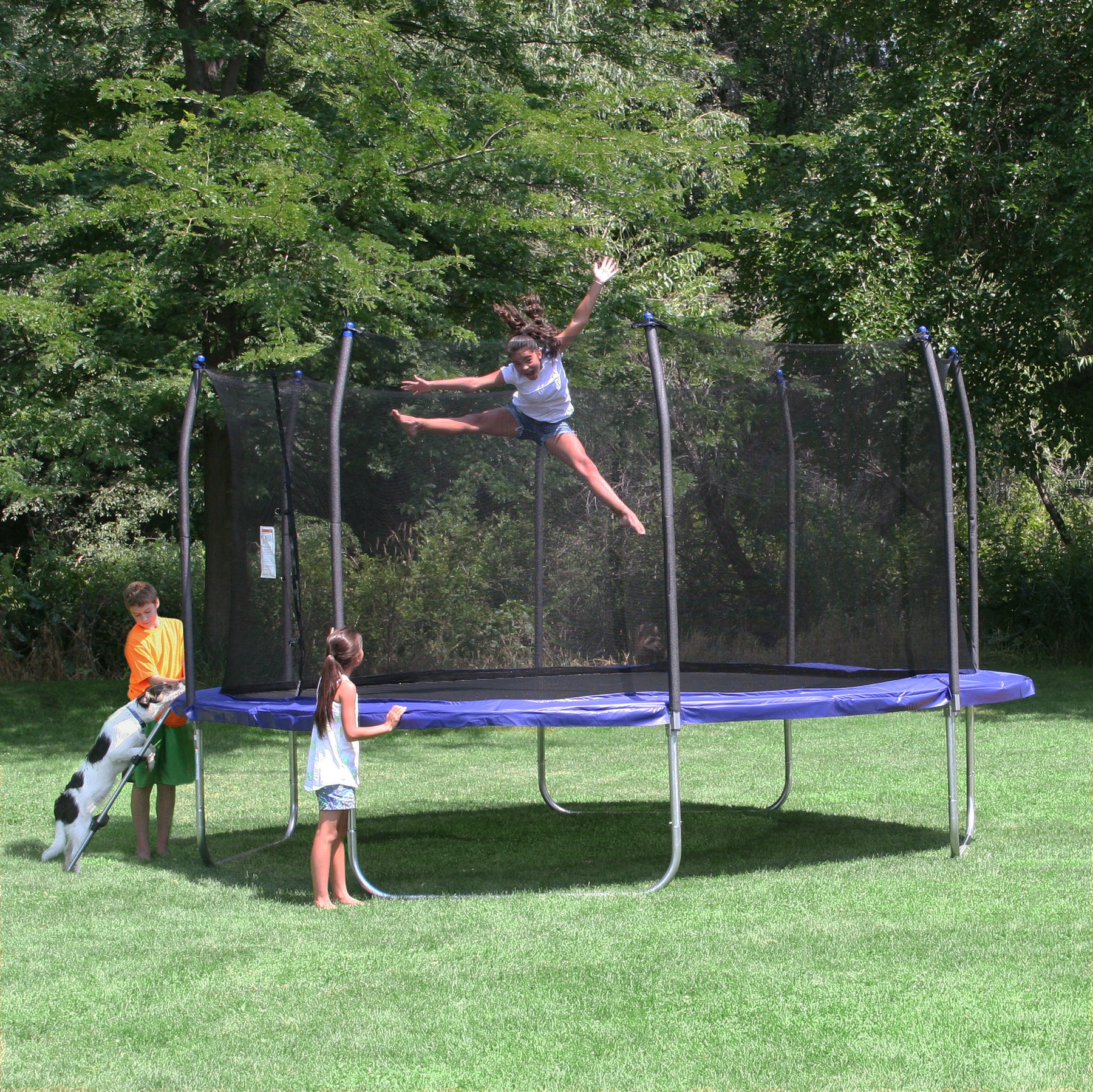 123 Jump 48 Round Mini service image