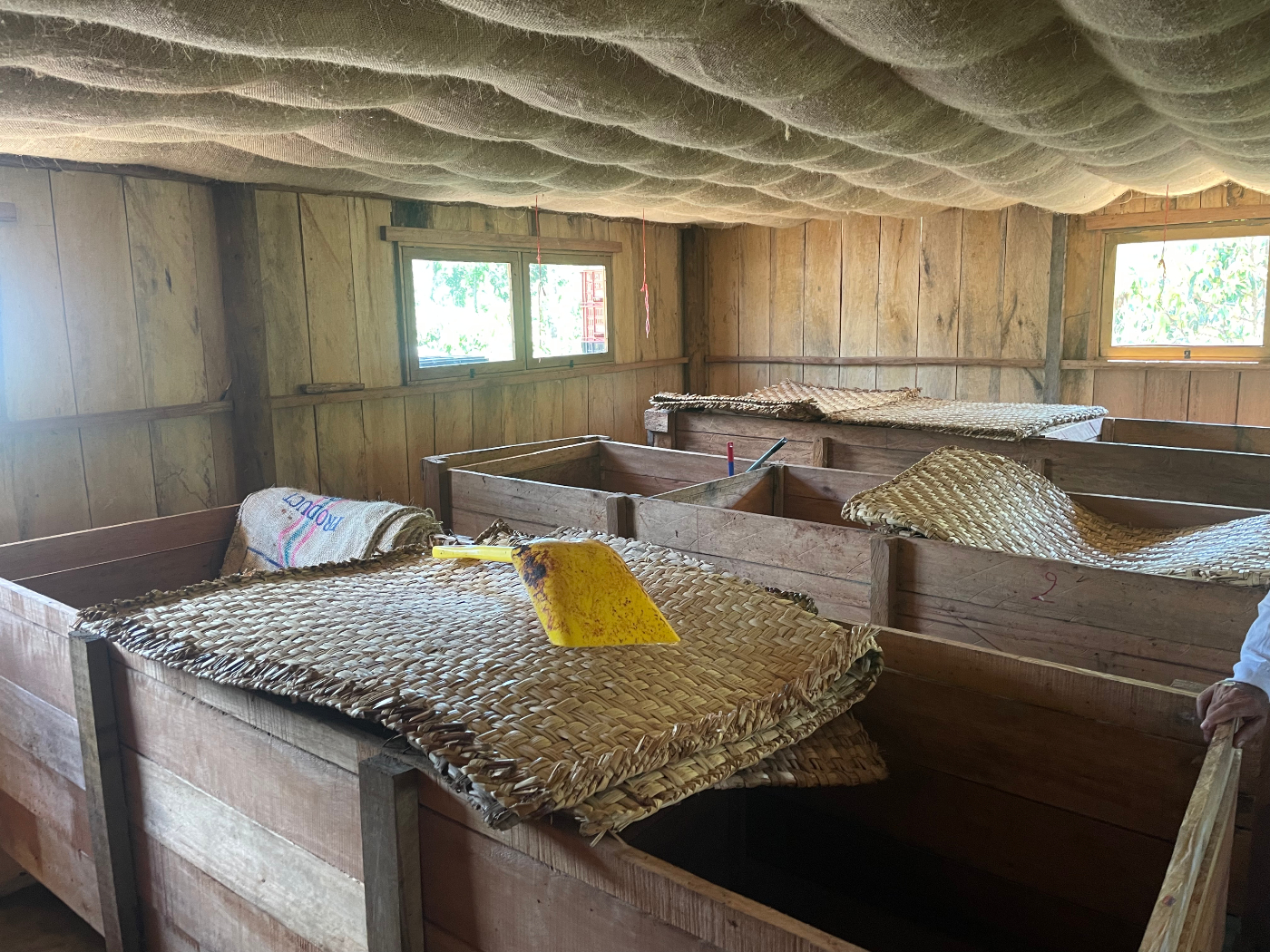 Fermentation