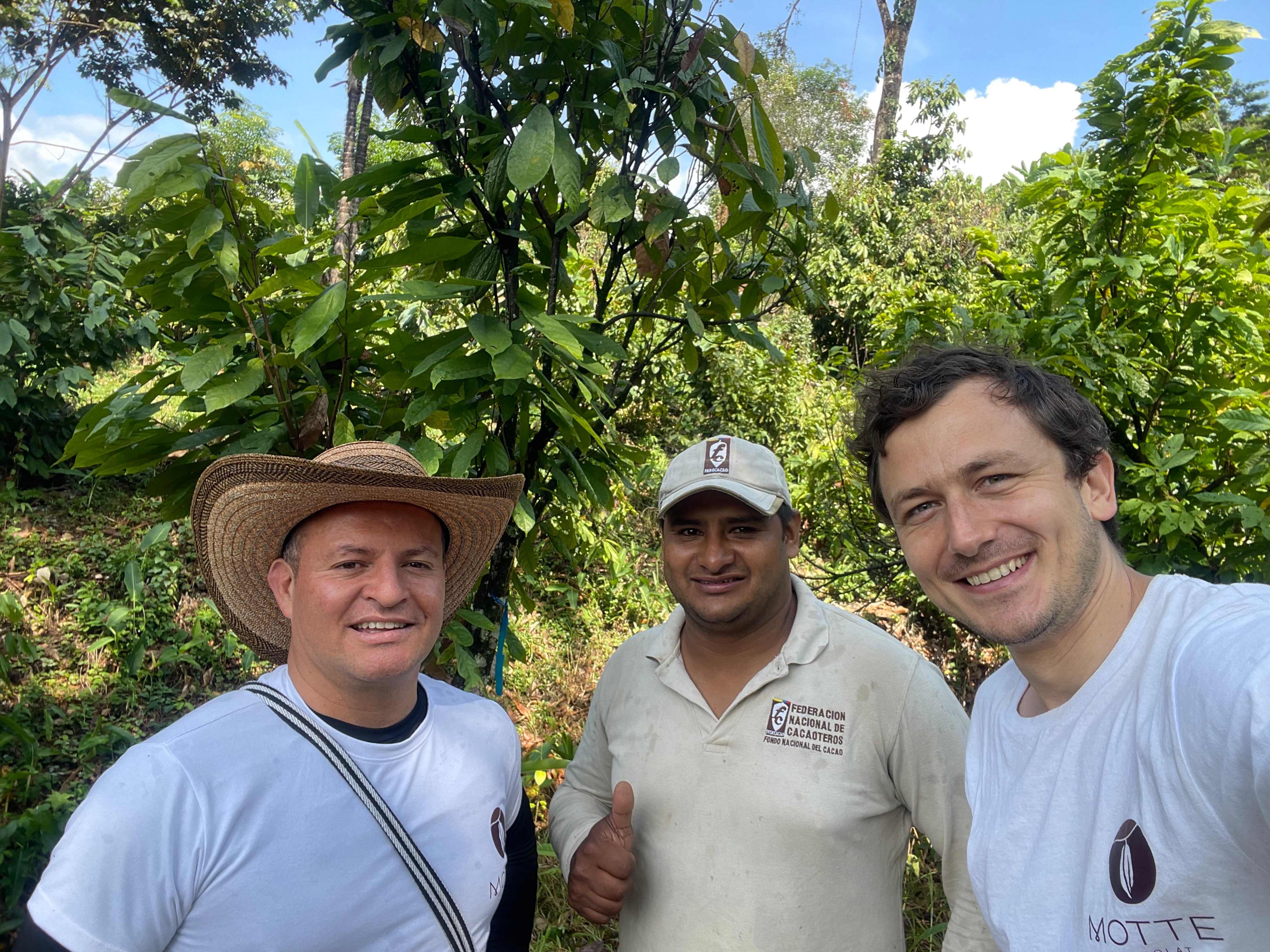 Talento local colombiano cacao