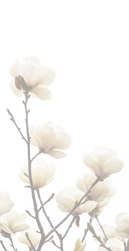 joseph-liu-RNM0NeB2oyw-unsplash_edited.j
