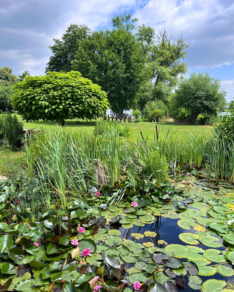 Unser Garten ist im Sommer ein unglaubliches grünes Paradies.