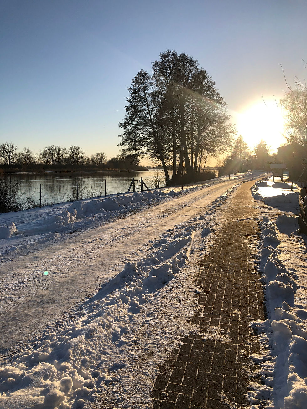 Schnee oder sogar Eis auf der Oder sind etwas Besonderes und verzaubern die Landschaft.