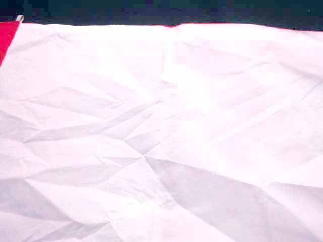 Thumbnail: Red Vintage Japanese Mirror Cover - Rare