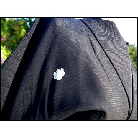 Thumbnail: Sheer Silk Kimono - wafuku.co.uk 15