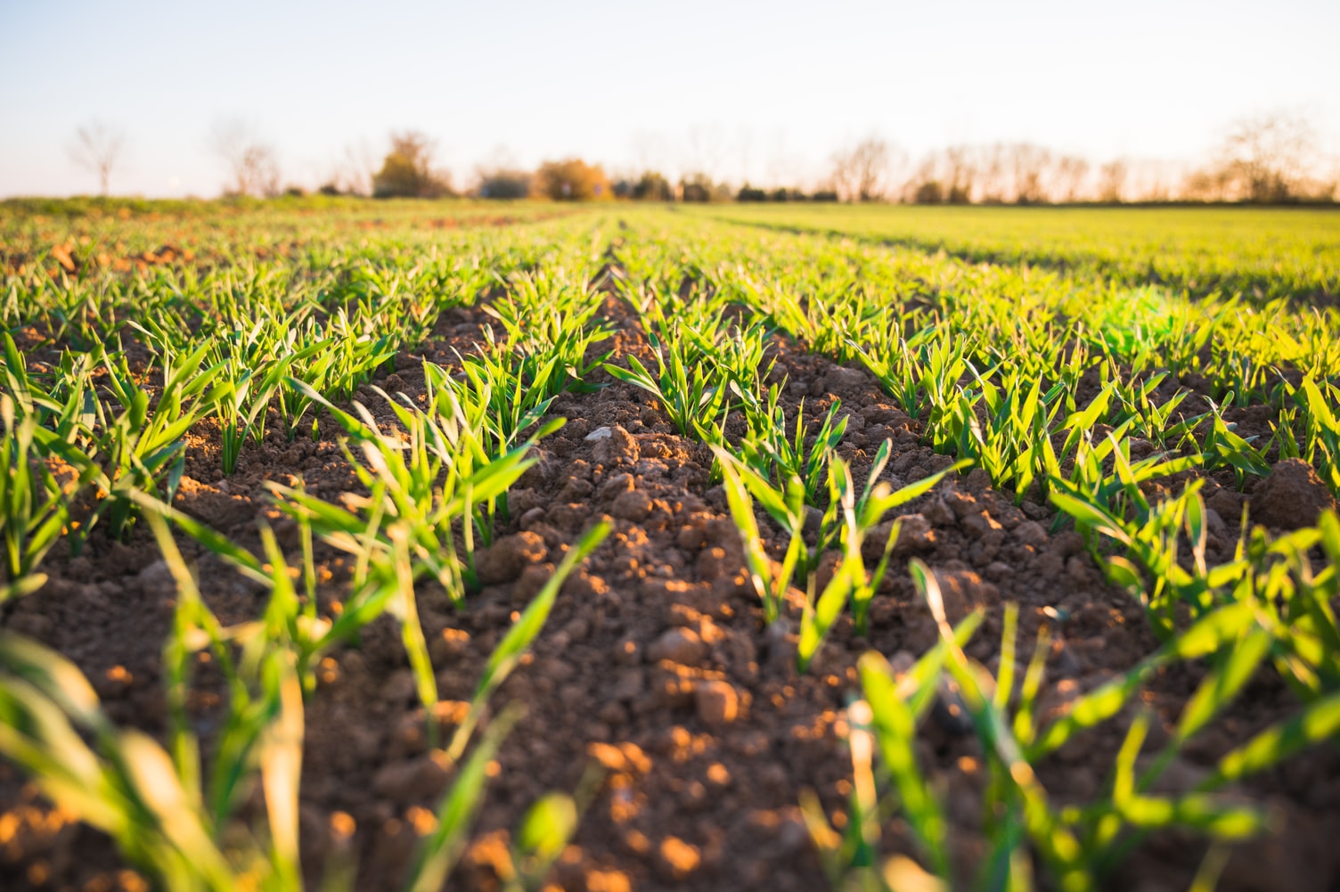 Agricultural-Tech