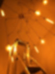 242224250_246165880682854_4194512076173572111_n.jpeg
