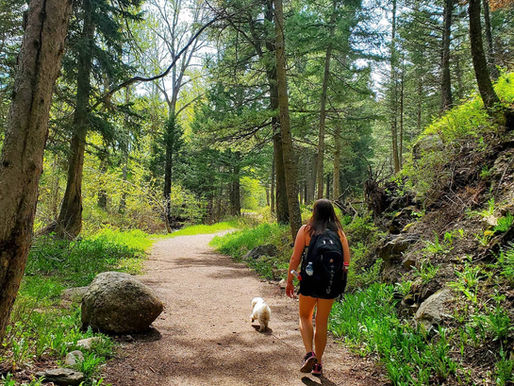 Top Things to Do in the Crowsnest Pass in Summer