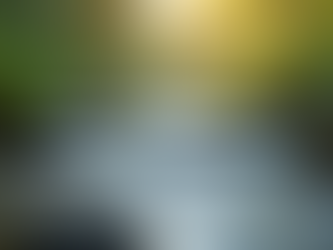 The Art of Mindful Living: Embracing the Present Moment