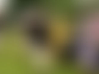 अमेरिकामा उभौली रौनक