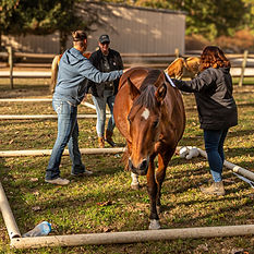 Intensive Oct 2025-61.jpg