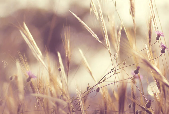 il_1588xN_edited.jpg
