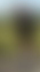 Adam’s Life-Changing Fitness Journey