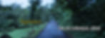 ThePicturesqueDrive