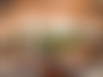 Navigating the Spice Route: What to Expect from a Restaurant Fit-Out Contractor in Saudi Arabia