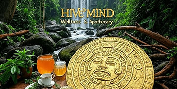 HIVE MAIN BACKGROUND_edited.jpg