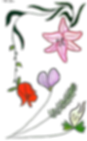 eden_1 - Edited - Edited_edited_edited_edited.png
